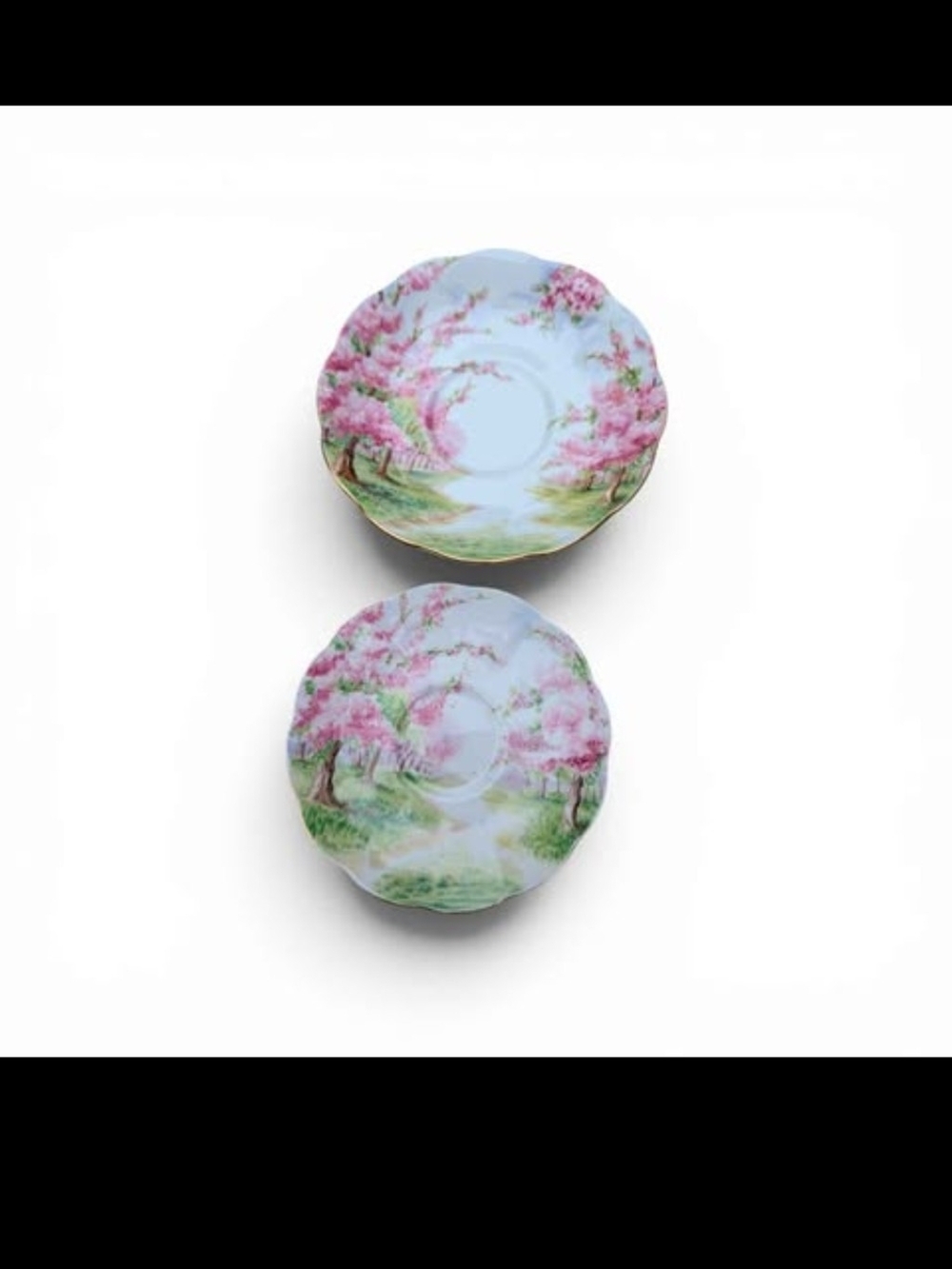 Royal Albert Pink Floral Saucer Pair with Pastel Scenery